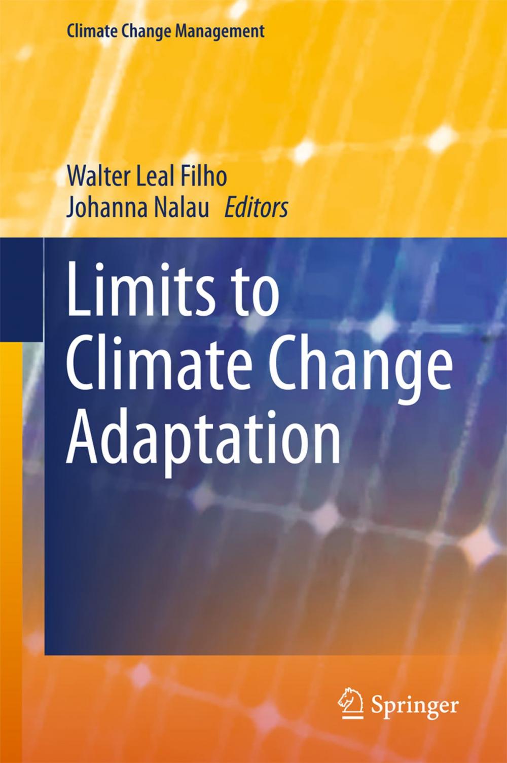 Big bigCover of Limits to Climate Change Adaptation