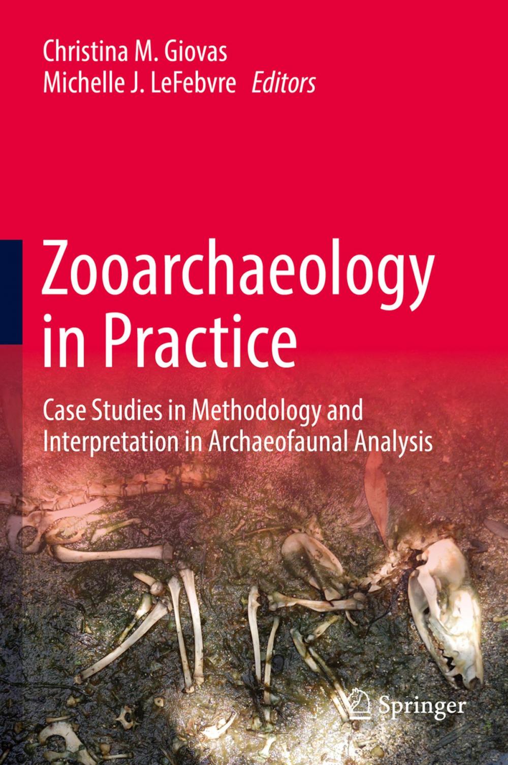 Big bigCover of Zooarchaeology in Practice