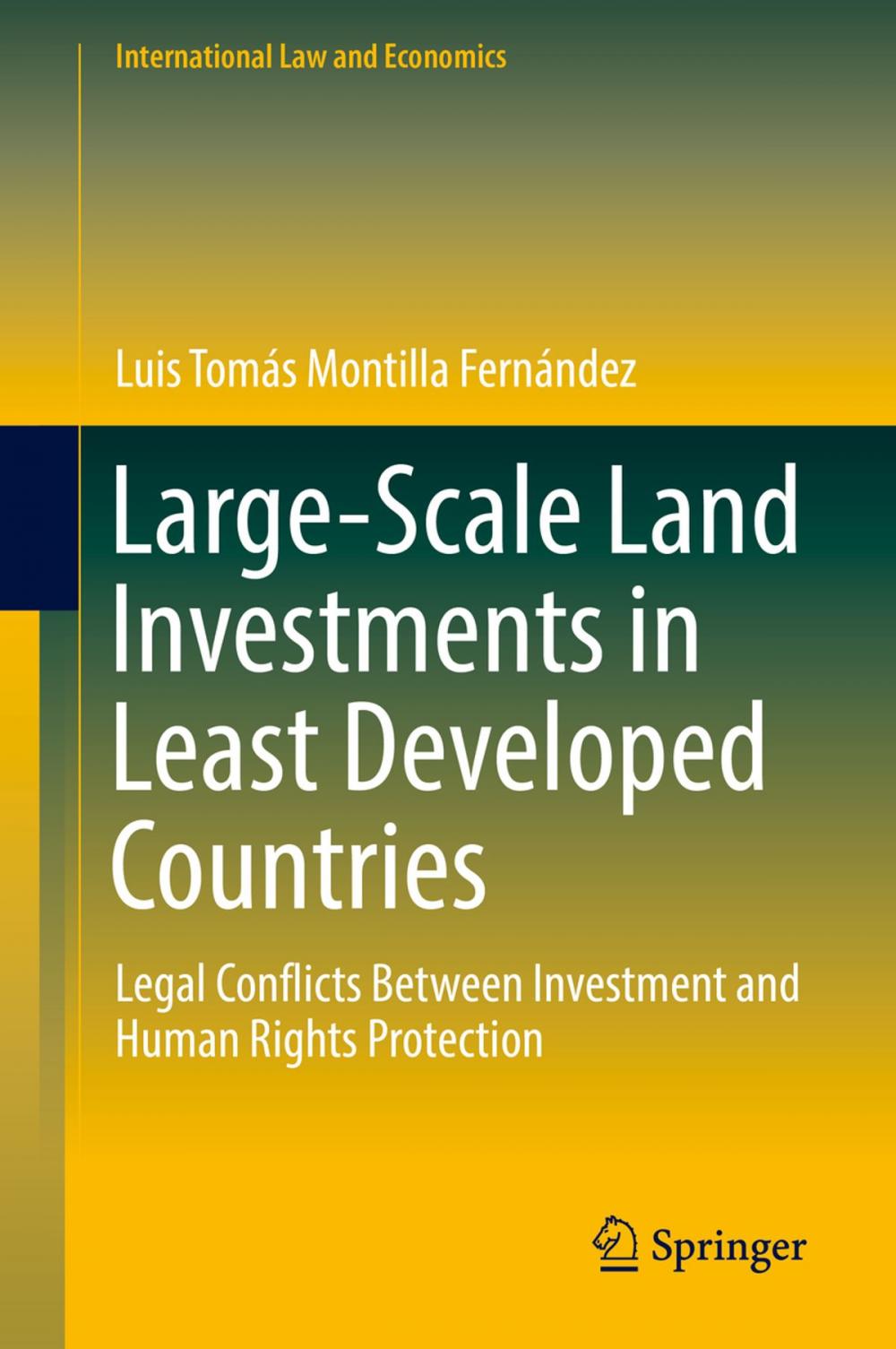 Big bigCover of Large-Scale Land Investments in Least Developed Countries