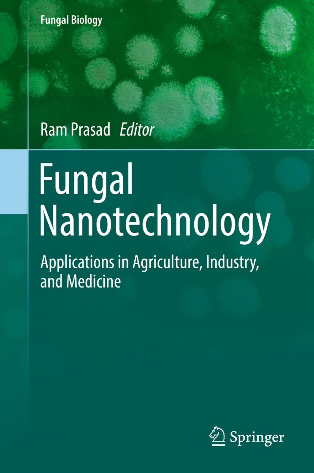 Big bigCover of Fungal Nanotechnology