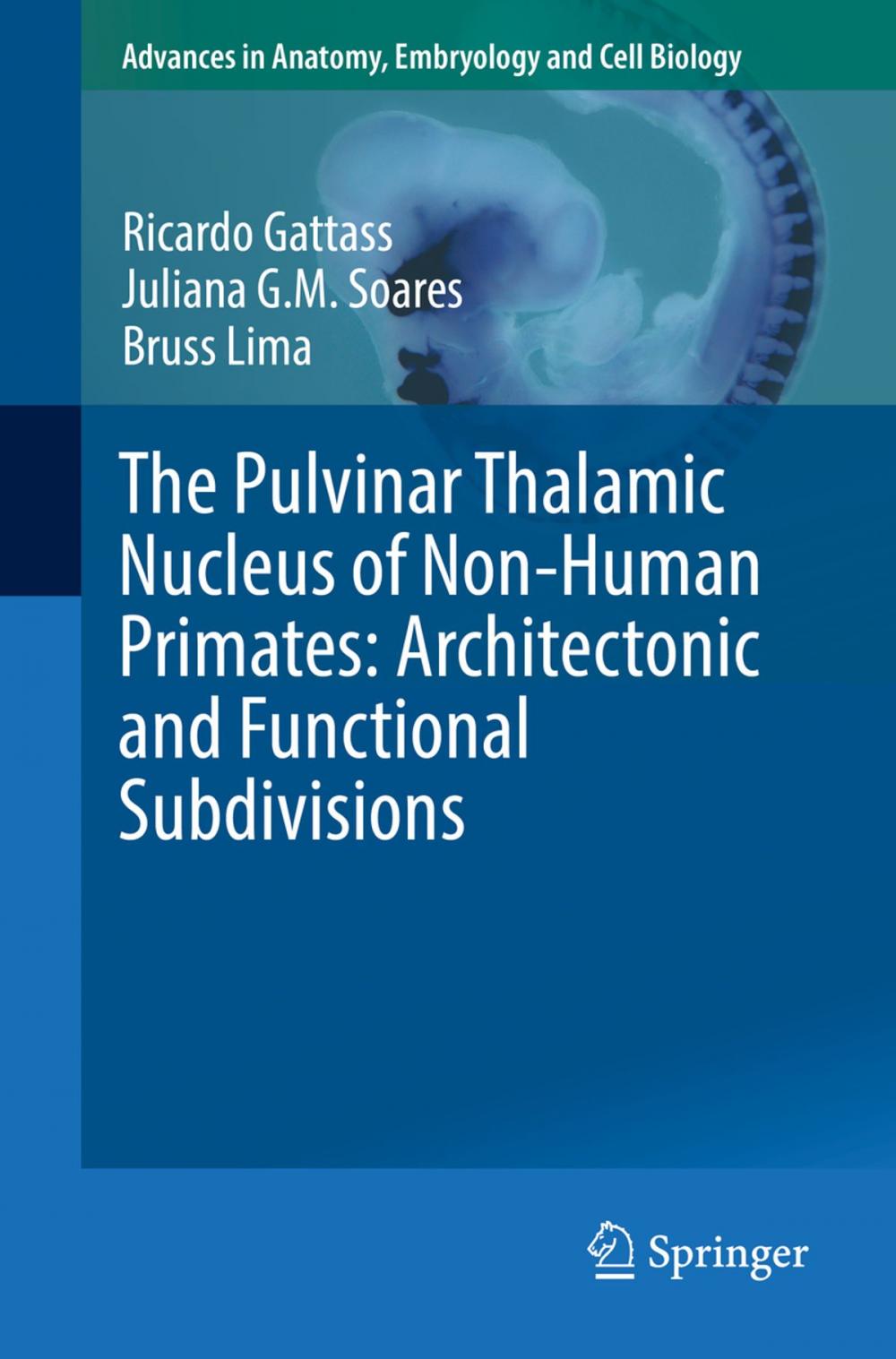 Big bigCover of The Pulvinar Thalamic Nucleus of Non-Human Primates: Architectonic and Functional Subdivisions