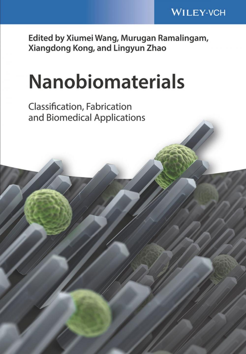 Big bigCover of Nanobiomaterials