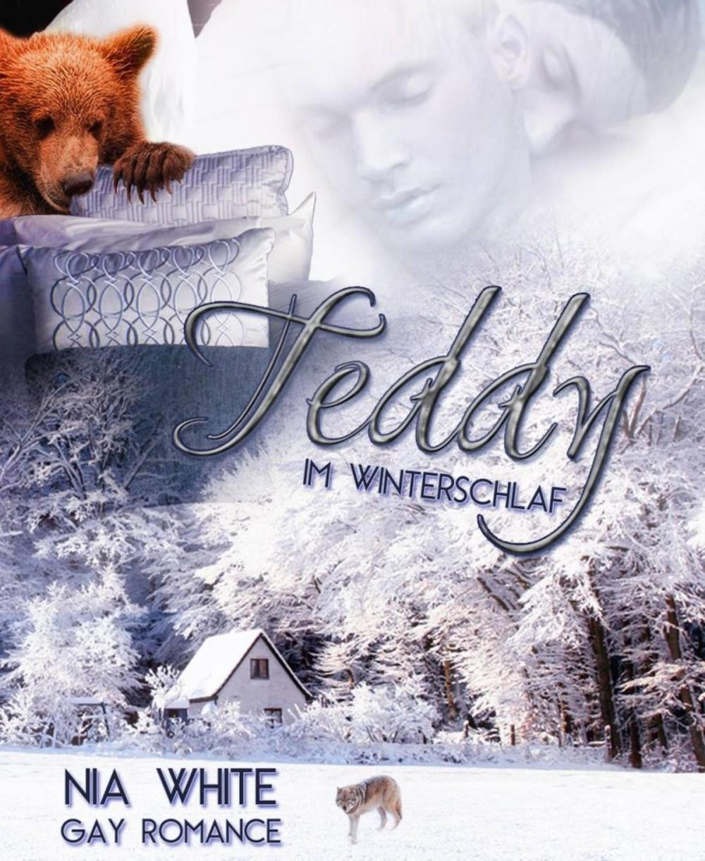 Big bigCover of Teddy im Winterschlaf