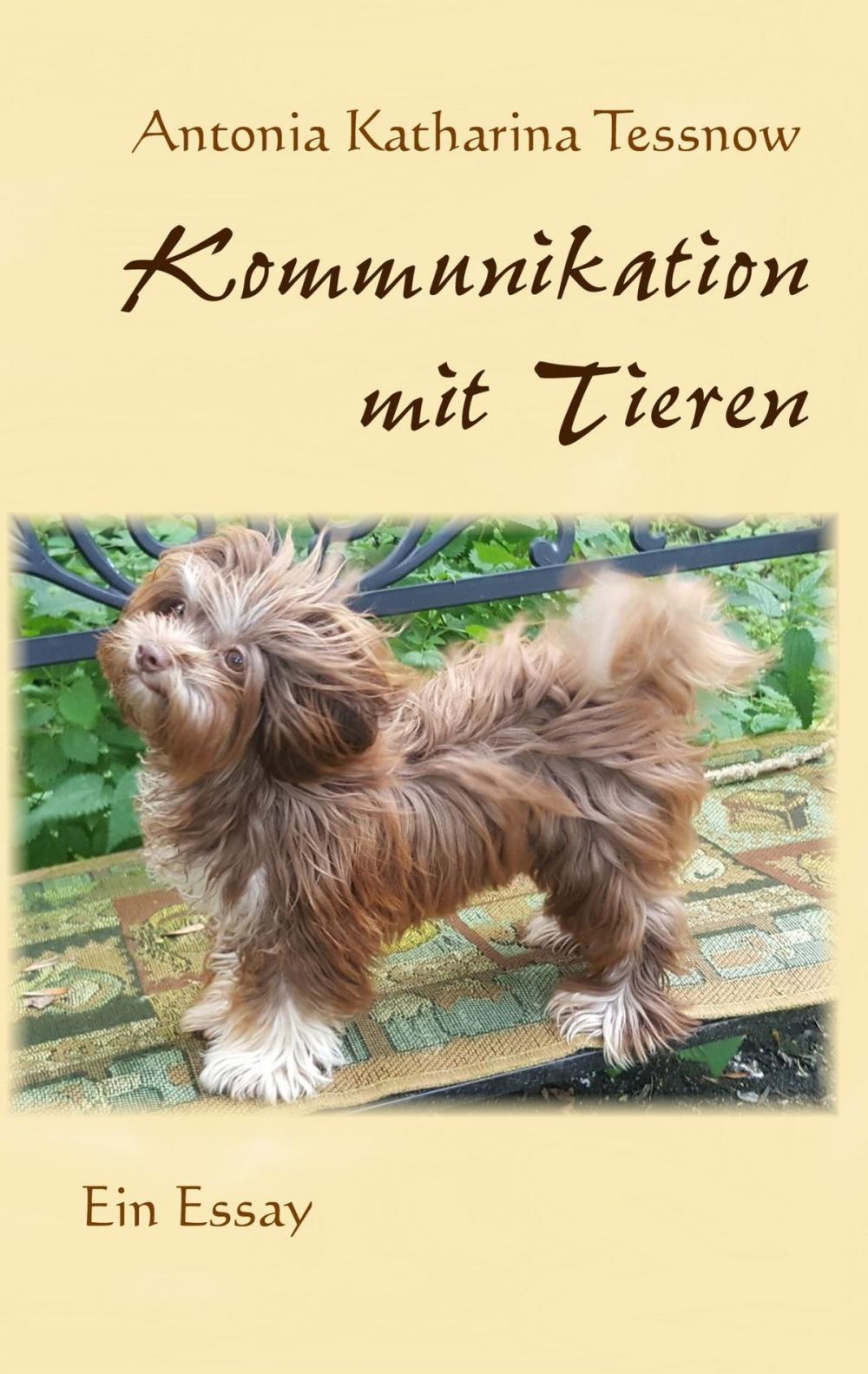 Big bigCover of Kommunikation mit Tieren