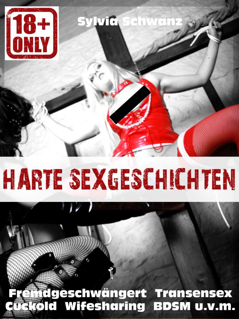 Big bigCover of Harte Sex-Geschichten!