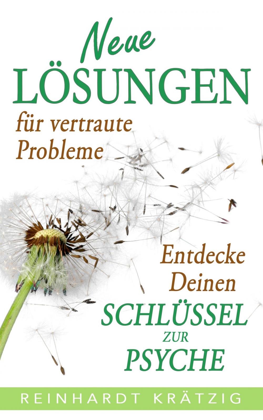 Big bigCover of Neue Lösungen für vertraute Probleme