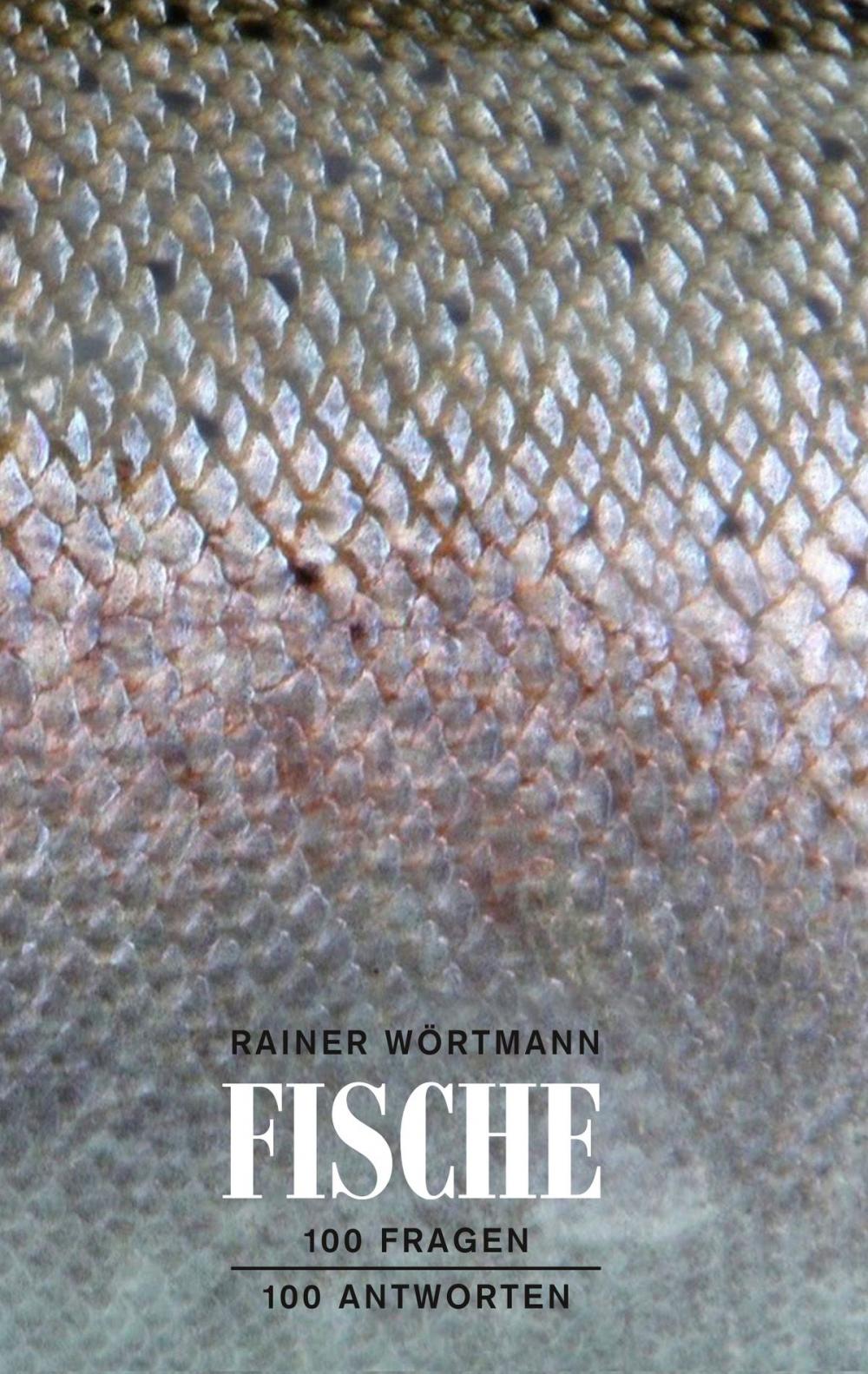 Big bigCover of Fische