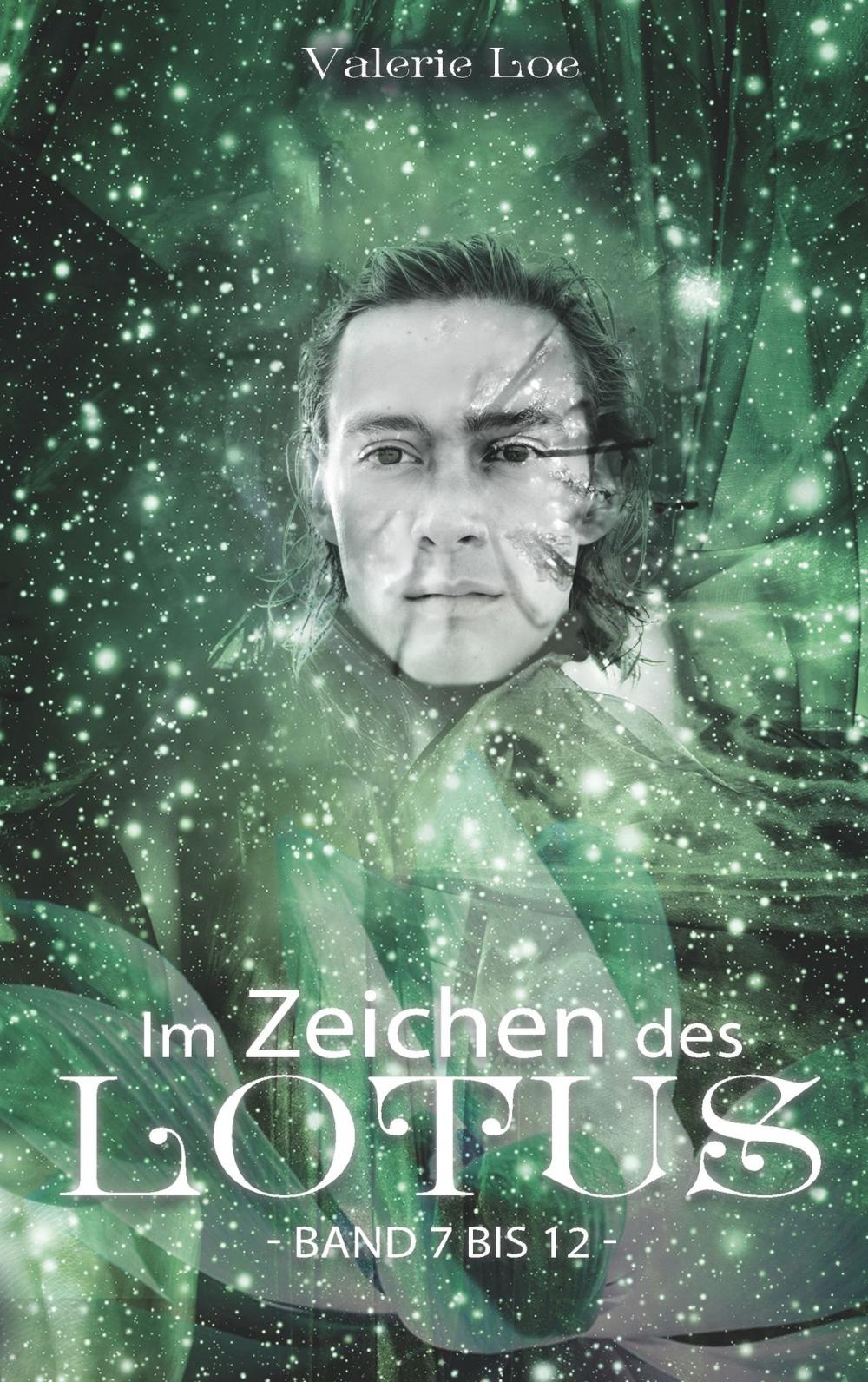 Big bigCover of Im Zeichen des Lotus