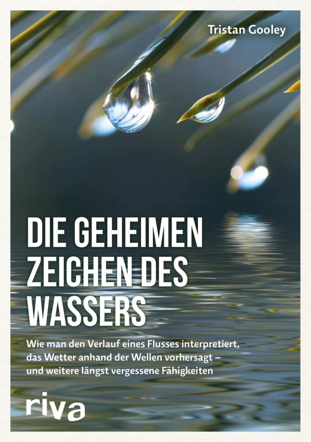 Big bigCover of Die geheimen Zeichen des Wassers