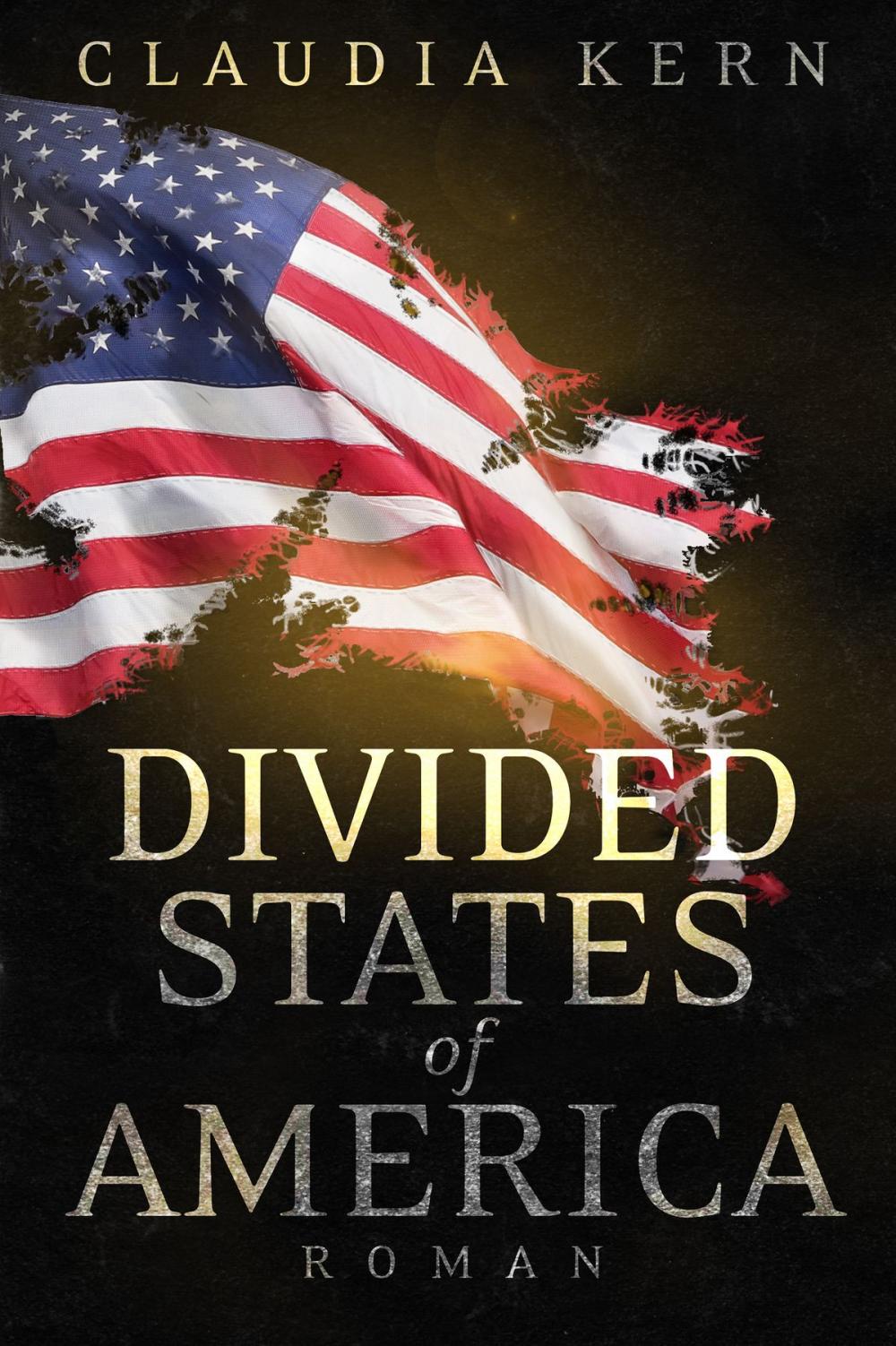 Big bigCover of Divided States of America