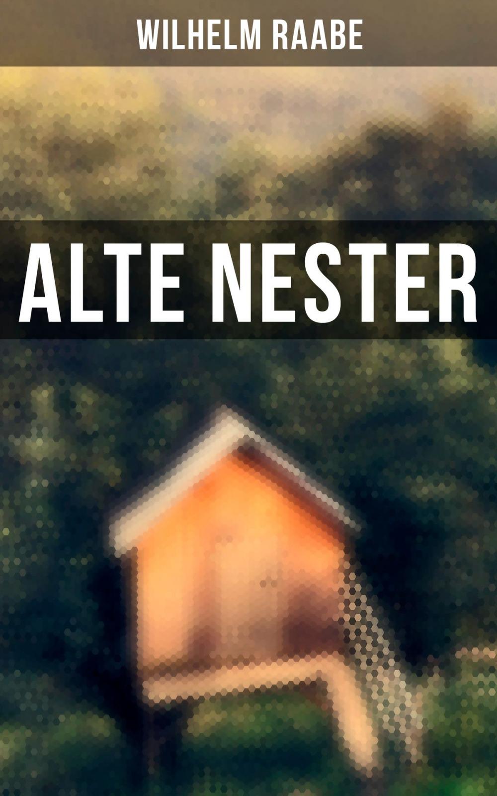 Big bigCover of Alte Nester