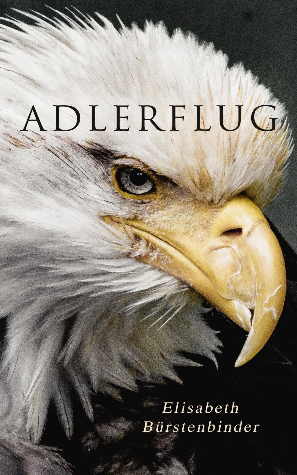 Big bigCover of Adlerflug: Liebesroman