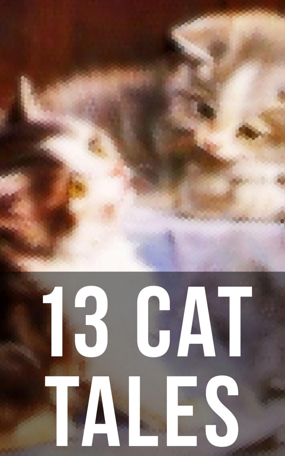 Big bigCover of 13 Cat Tales