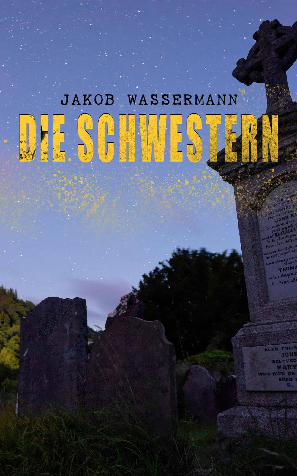 Big bigCover of Die Schwestern