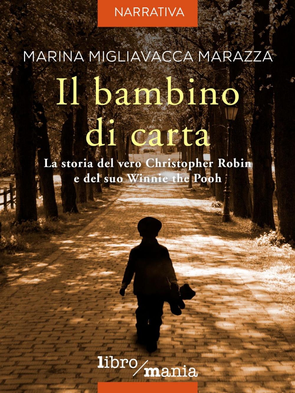 Big bigCover of Il bambino di carta