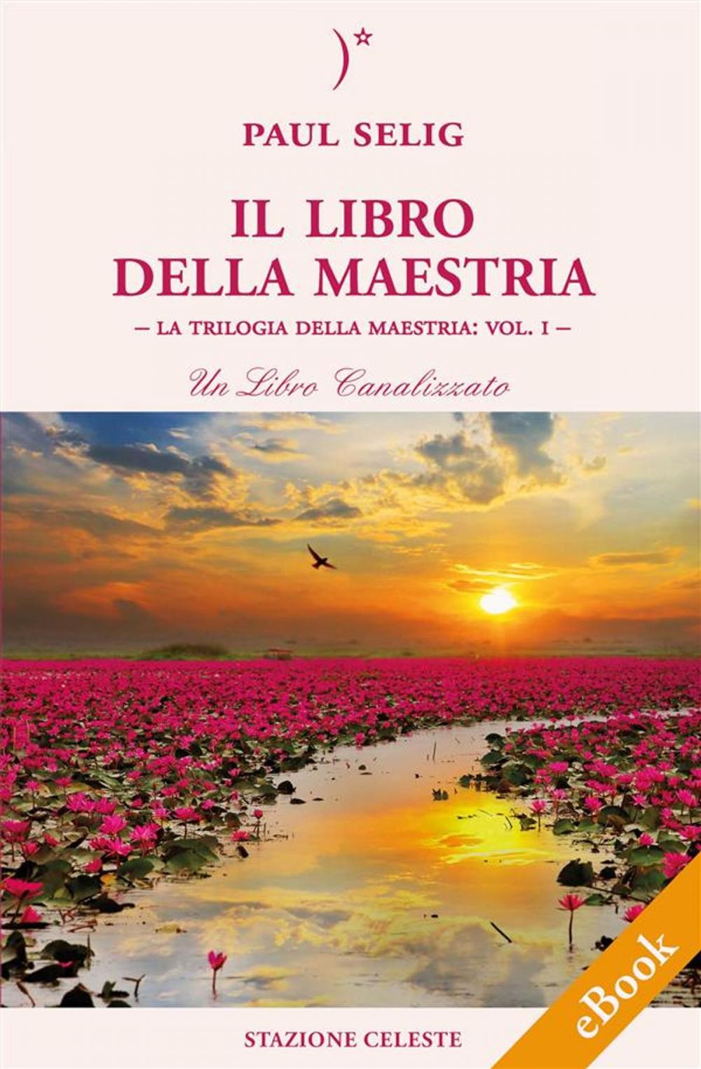 Big bigCover of Il Libro della Maestria