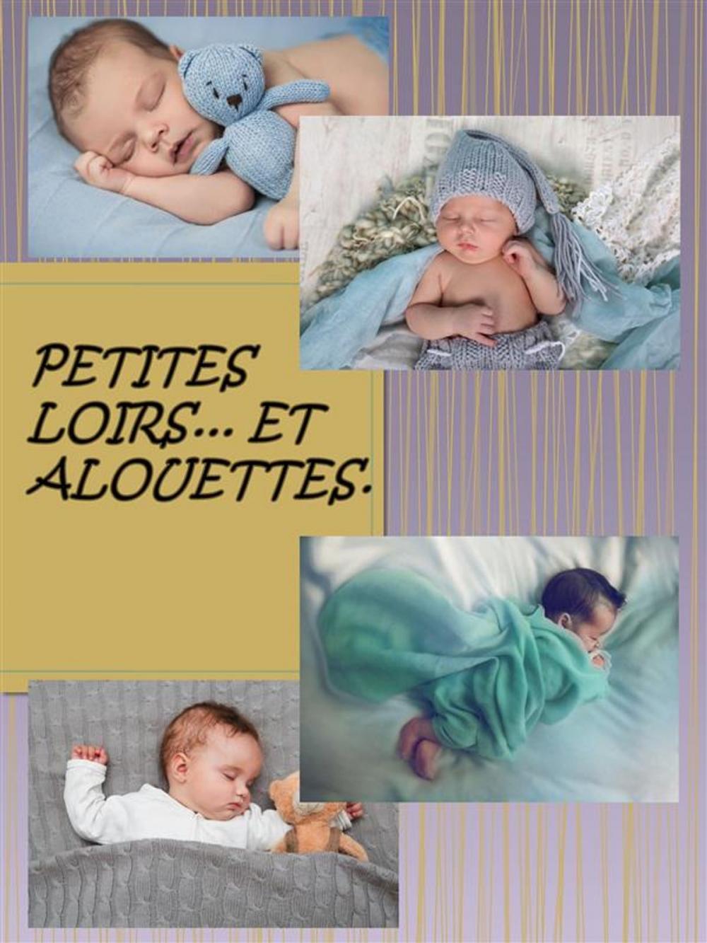 Big bigCover of Petit Loir et Alouettes