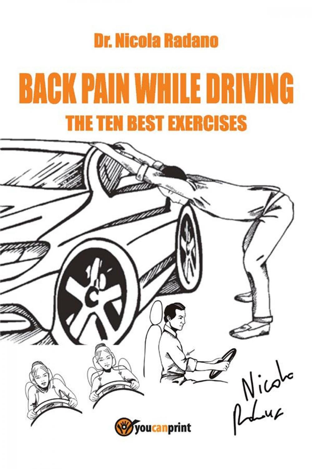 Big bigCover of Back pain while driving