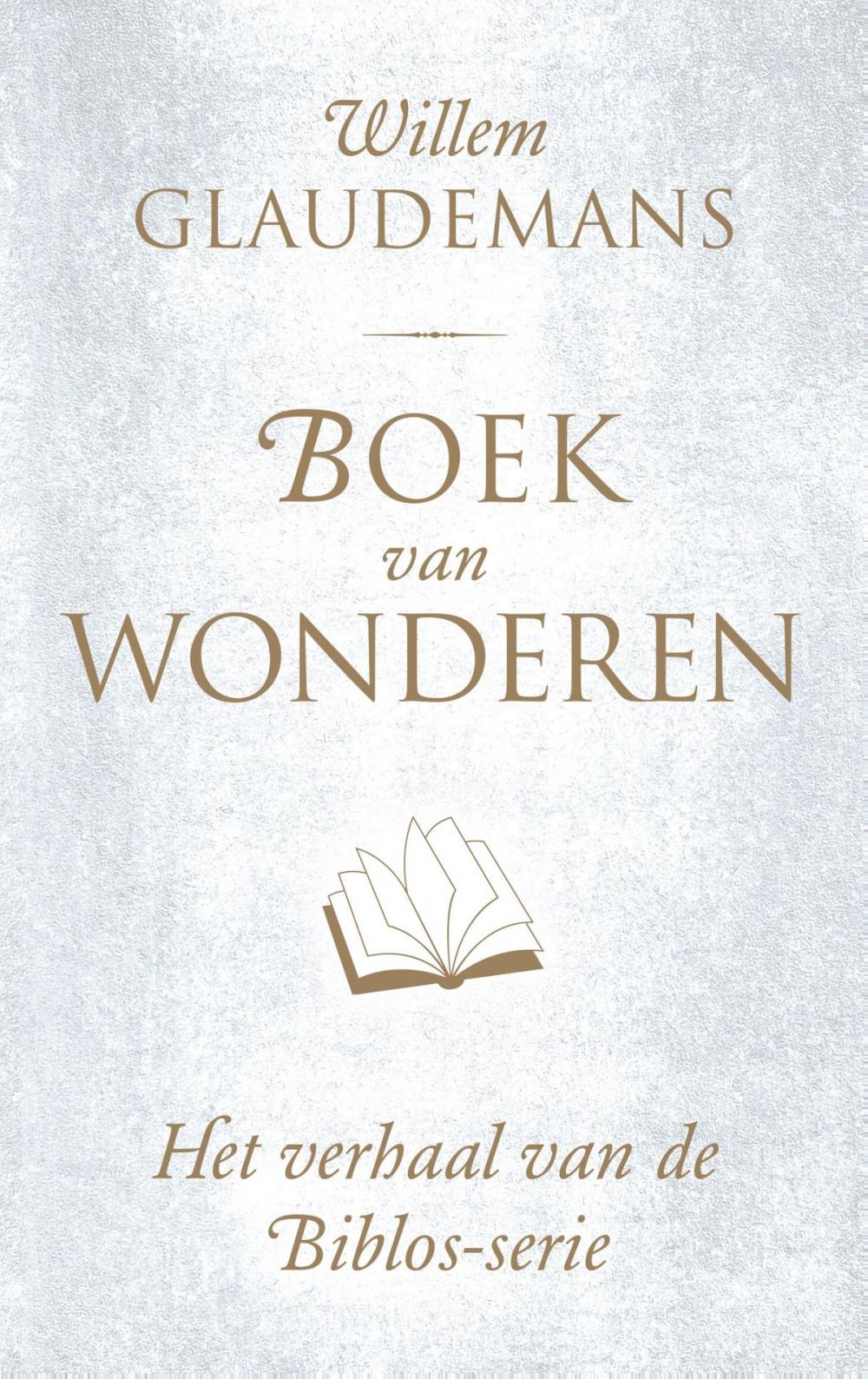 Big bigCover of Boek van wonderen