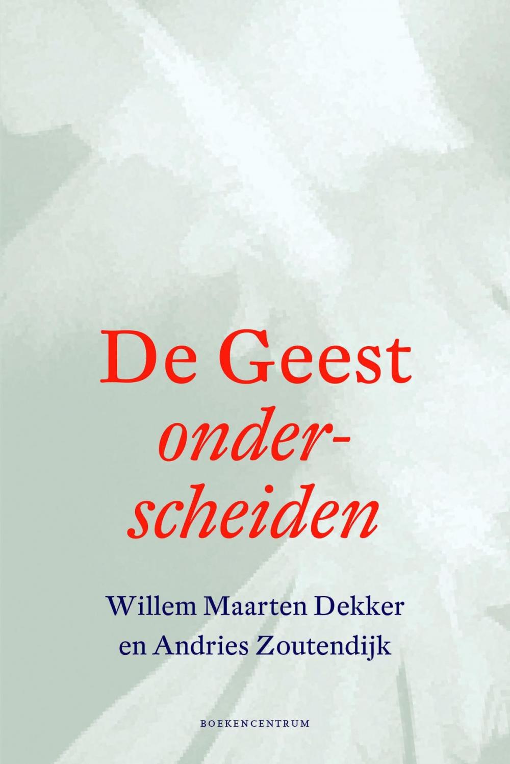 Big bigCover of De geest onderscheiden