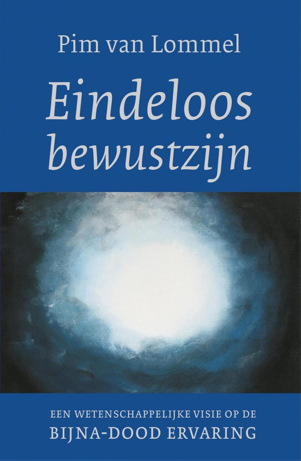 Big bigCover of Eindeloos bewustzijn