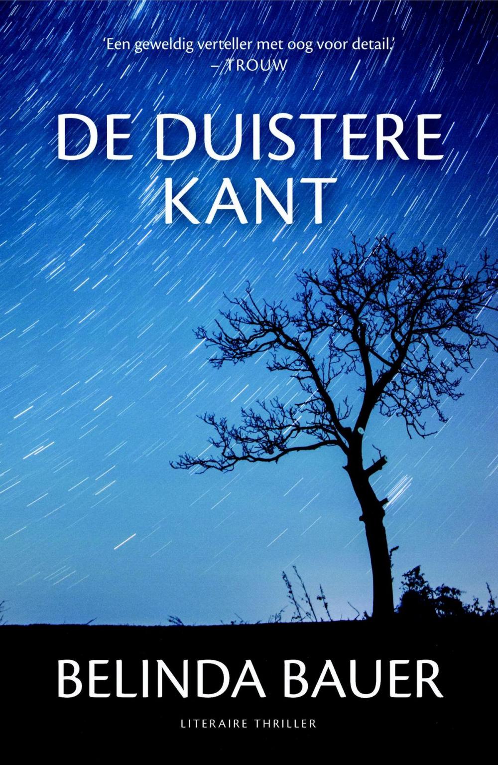 Big bigCover of De duistere kant