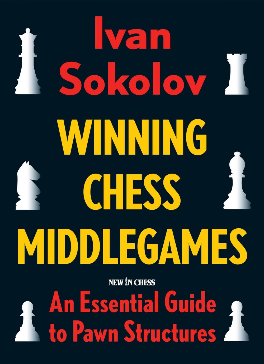 Big bigCover of Winning Chess Middlegames