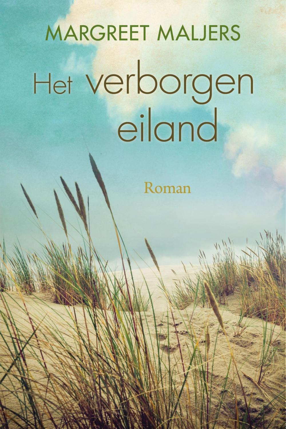 Big bigCover of Het verborgen eiland