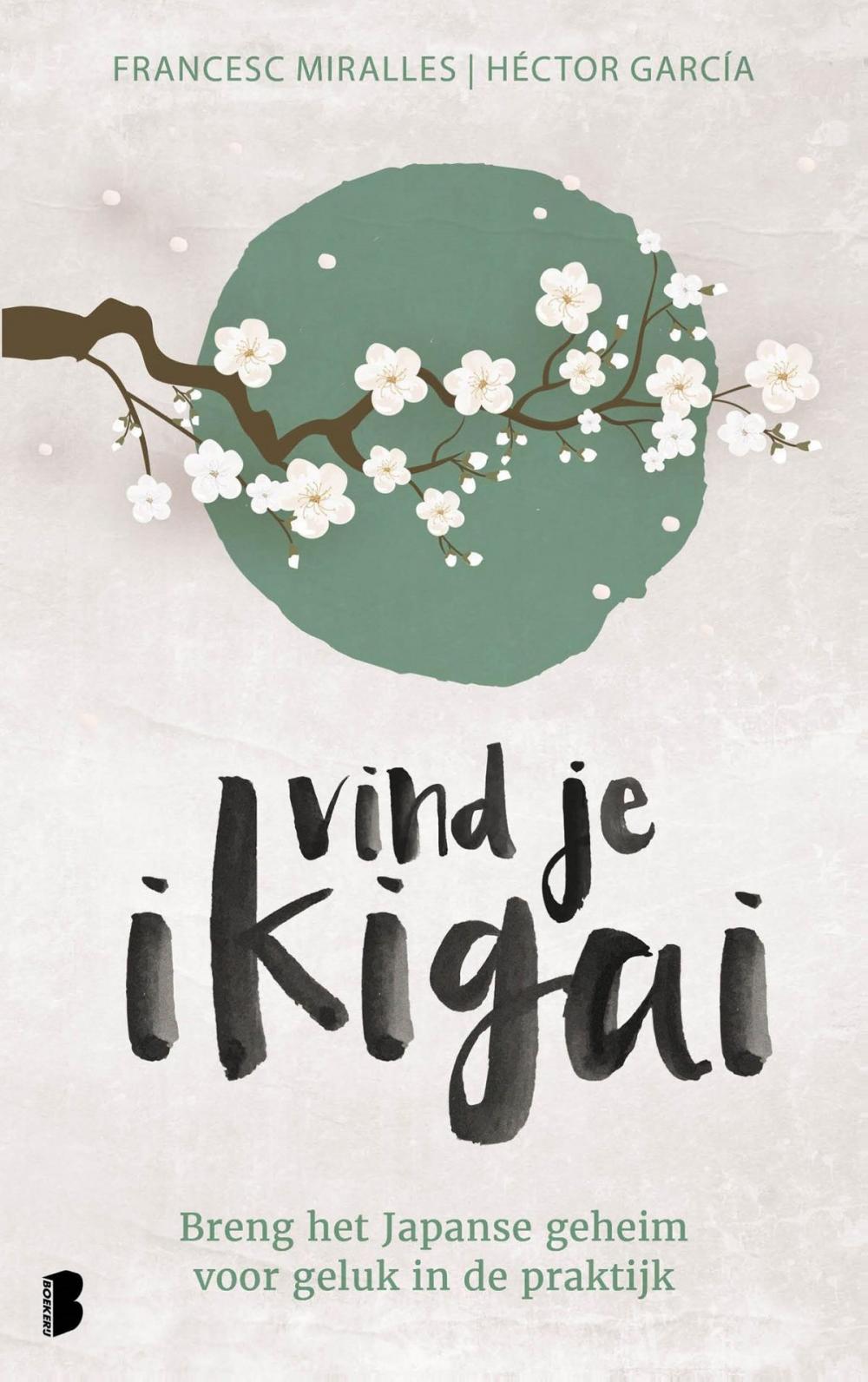 Big bigCover of Vind je ikigai