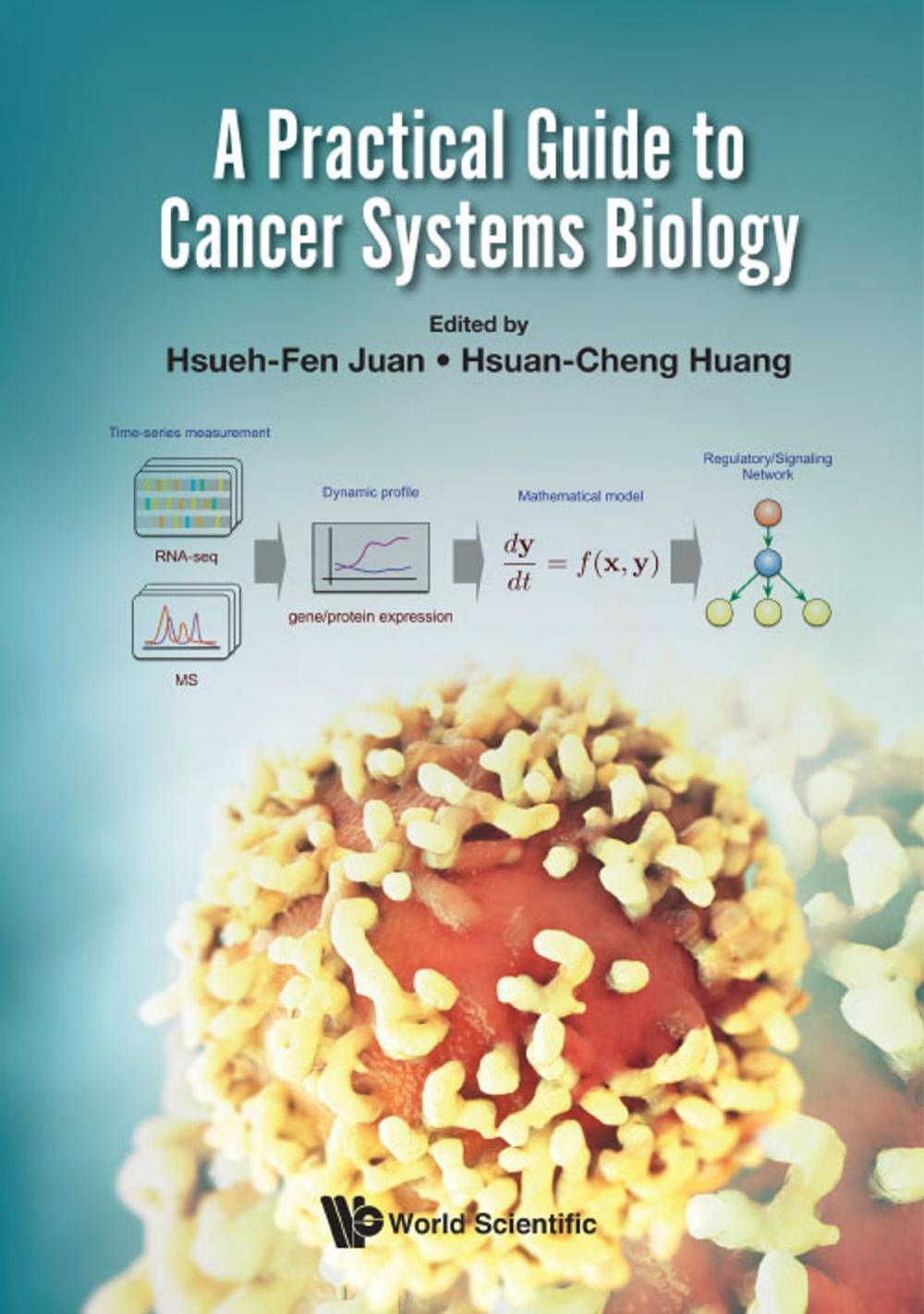 Big bigCover of A Practical Guide to Cancer Systems Biology