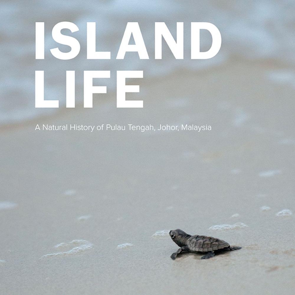 Big bigCover of Island Life