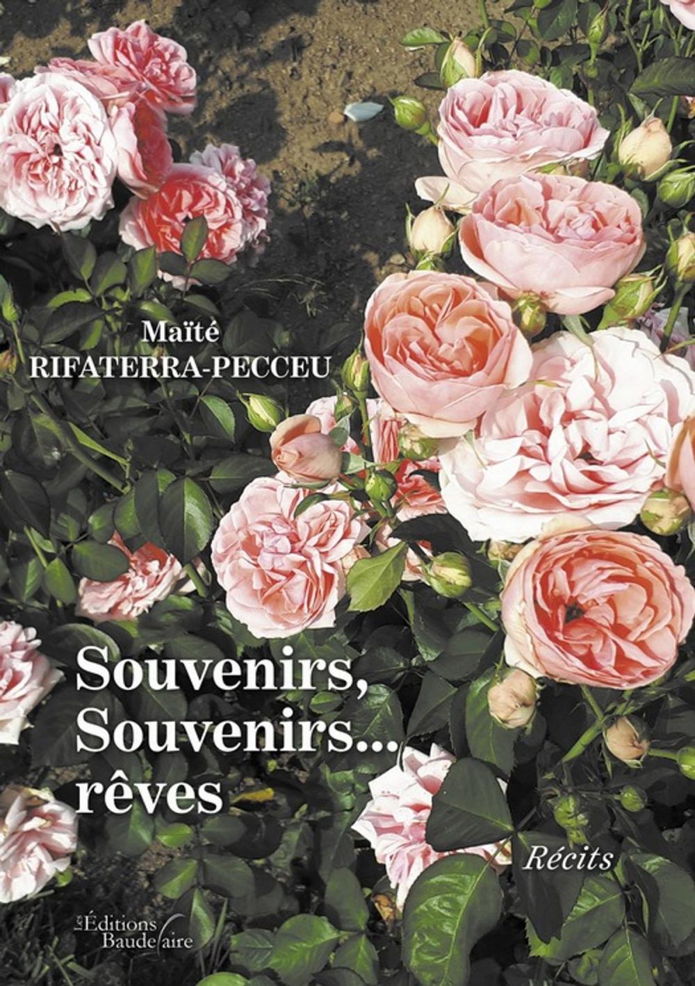 Big bigCover of Souvenirs, Souvenirs…rêves