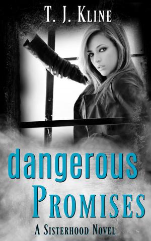 Cover of the book Dangerous Promises by H.J. Queen