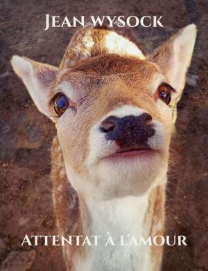 Book cover of Attentat à l'amour