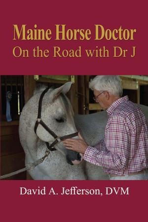 Cover of Maine Horse Doctor
