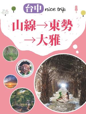 Cover of the book 台中nice trip 路線5山線→東勢→大雅 by Mark Bennetts