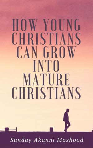 Cover of the book How Young Christians Can Grow Into Mature Christians by K. C. Anyanele