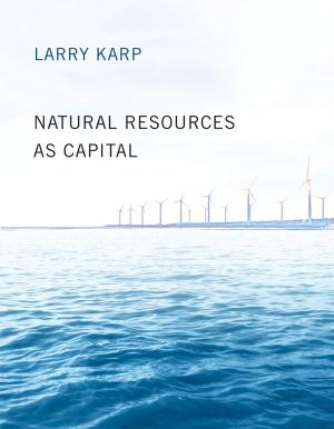 Cover of the book Natural Resources as Capital by Michael J. Marini