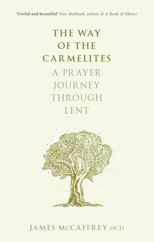 Cover of the book The Way of the Carmelites by Anthony C. Thiselton