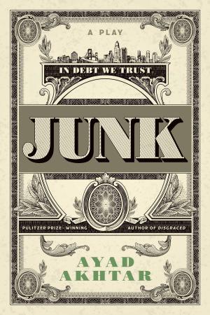 Cover of the book Junk by Chamsil