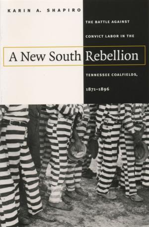 Book cover of A New South Rebellion