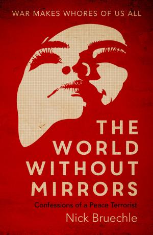 Cover of the book The World Without Mirrors by Jerome Charyn