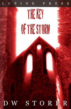 Cover of The Key of the Storm