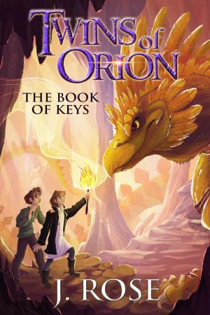 Cover of the book Twins of Orion by Martin Smith