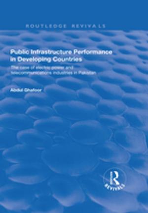 Cover of the book Public Infrastructure Performance in Developing Countries by Jeffrey N Wasserstrom