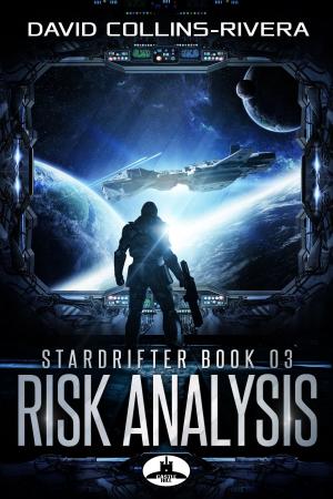 Cover of the book Risk Analysis by Edwin Stark