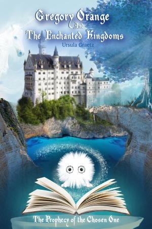 Cover of the book Gregory Orange and the Enchanted Kingdoms (Book 1) by James Comins