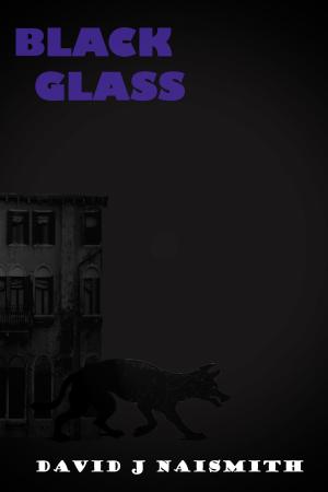 Cover of Black Glass