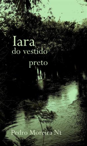 Cover of the book Iara do vestido preto by Alphonse Daudet