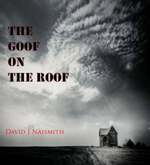 Book cover of The Goof on the Roof